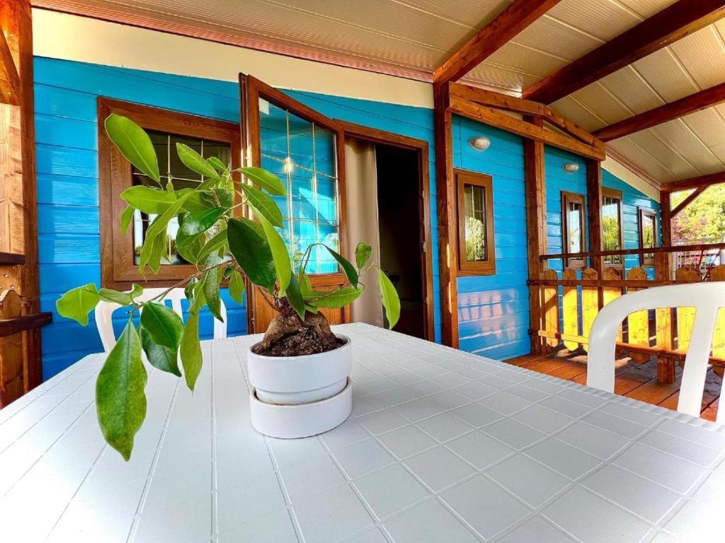 Camping Village Tuscia Tirrenica Tarquinia Buitenkant foto